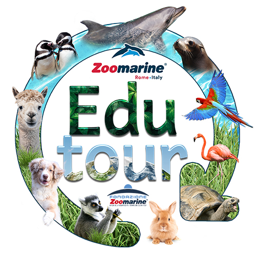 Form Iscrizione , Richiesta Informazione e  Prenotazione Gita Scolastica Zoomarine Italia Roma Giardino Zoologico